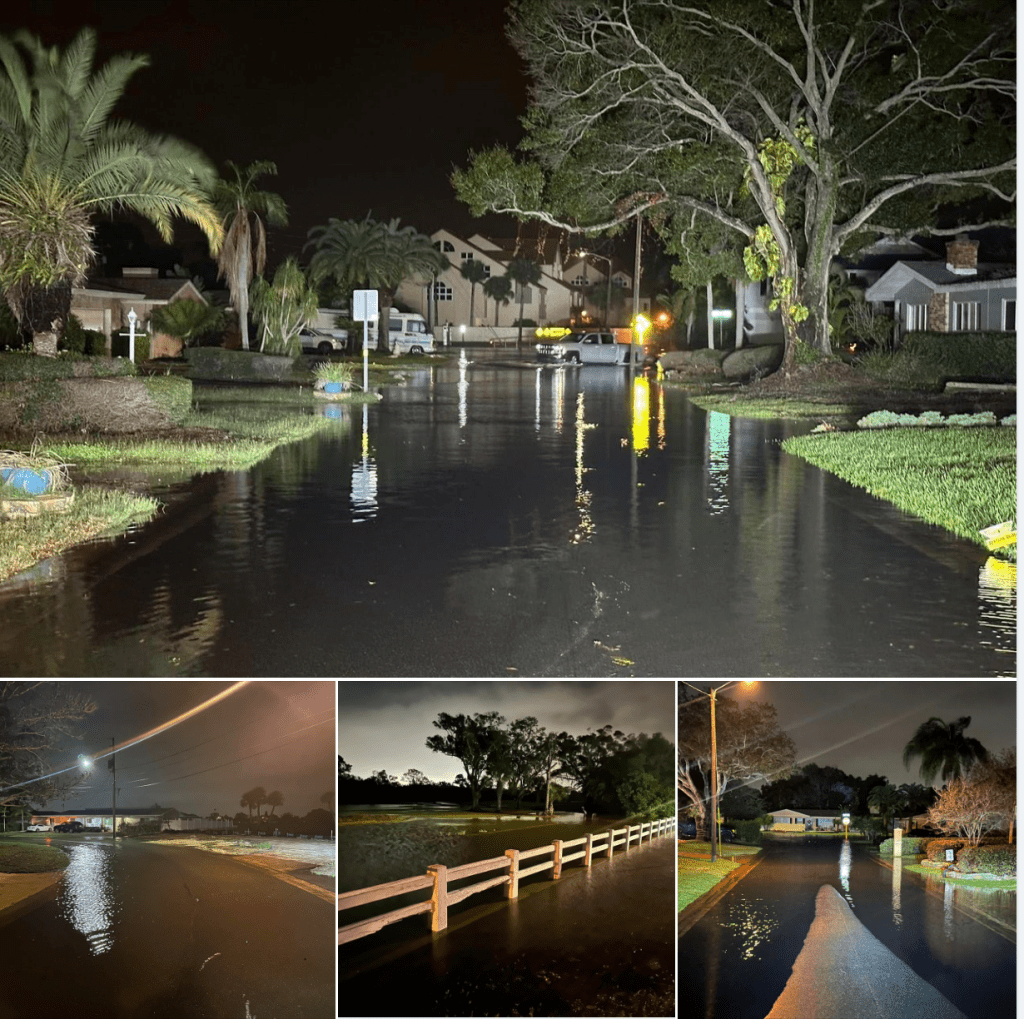 Photos by Scott Steiss 